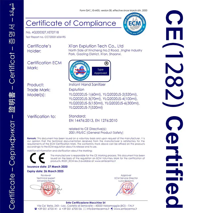 ethyl alcohol hand sanitizer gel 60ml/500ml/300ml CE
