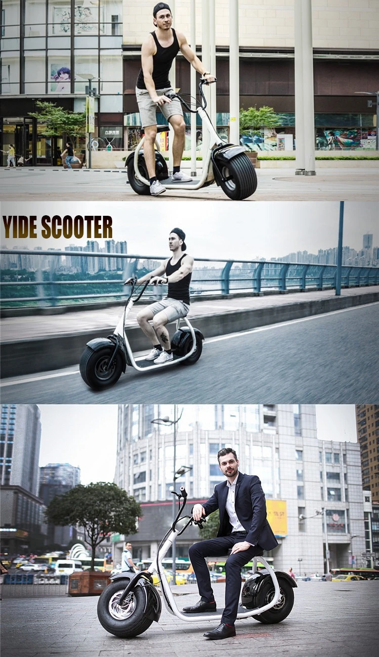 Holland Warehouse European Warehouse Stock 800W 1000W 1500W Electric Scooter Citycoco With EEC