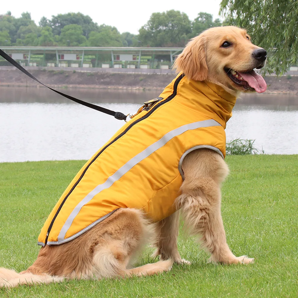 

New Autumn Winter Thickened Dog Coat Dog Designer Clothes Korean Dog Clothes