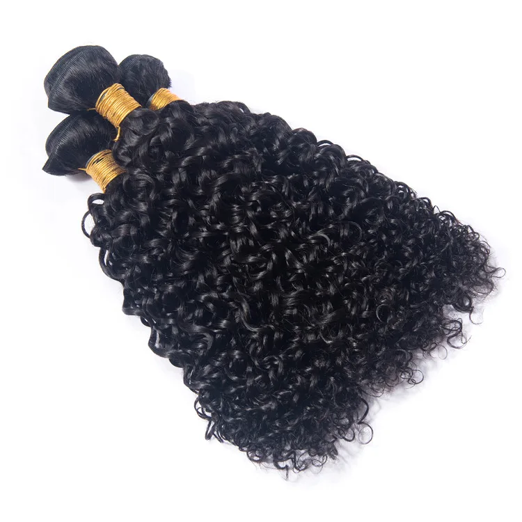 

Unprocessed Raw Cuticle Aligned Brazilian Virgin Curly Human Hair Weaves Bundles