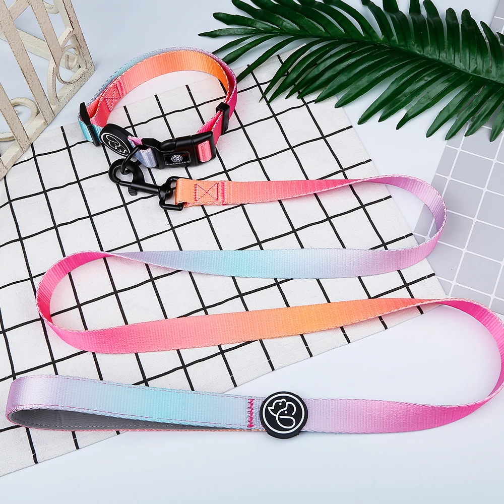

2020 Factory Manufacture High Quality Colourful Waterproof Dog Leash