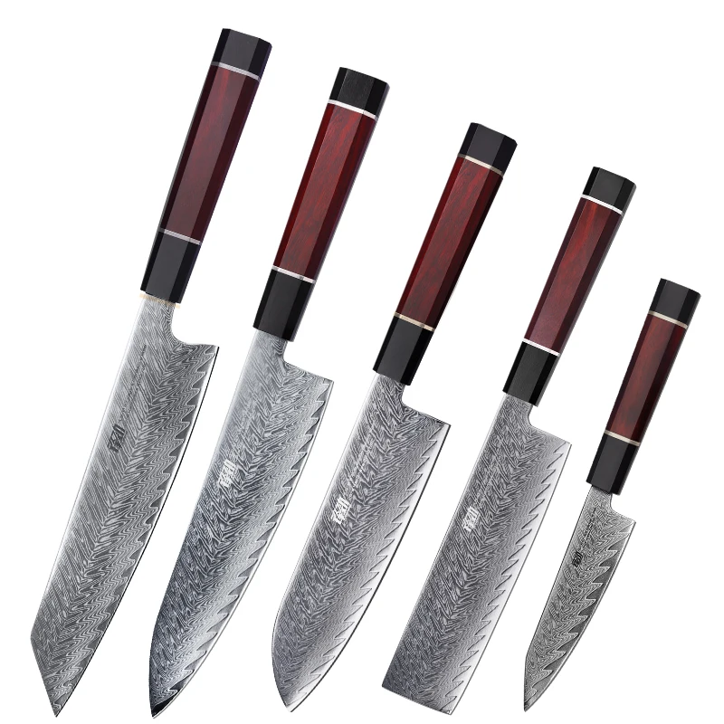 

FINDKING 5 PCS Professional Japanese AUS-10 Damascus Steel Knife Set Kiritsuke Santoku Nakiri Paring Chef Kitchen Knife Set