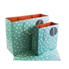 Kraft With Clear Window Washable Paper Bag