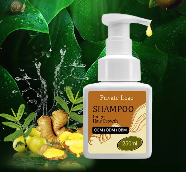

OEM/ODM Natural Organic Ginger Hair Growth Shampoo for Hair Thickening and Prevent Hair Loss