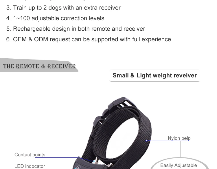 Dog Training Collars.jpg