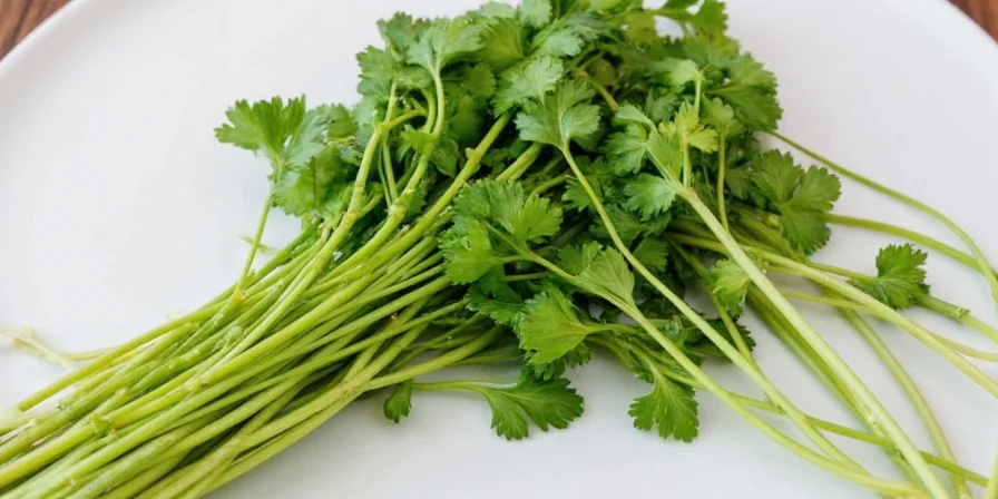DIY Spice Blend with Dry Cilantro