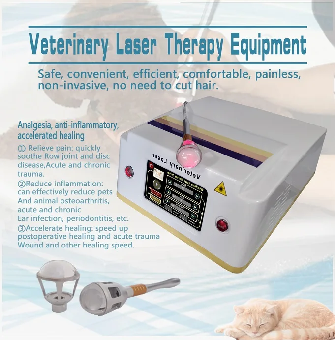 LLLT Veterinary cold laser therapy equipment for animal pain relief