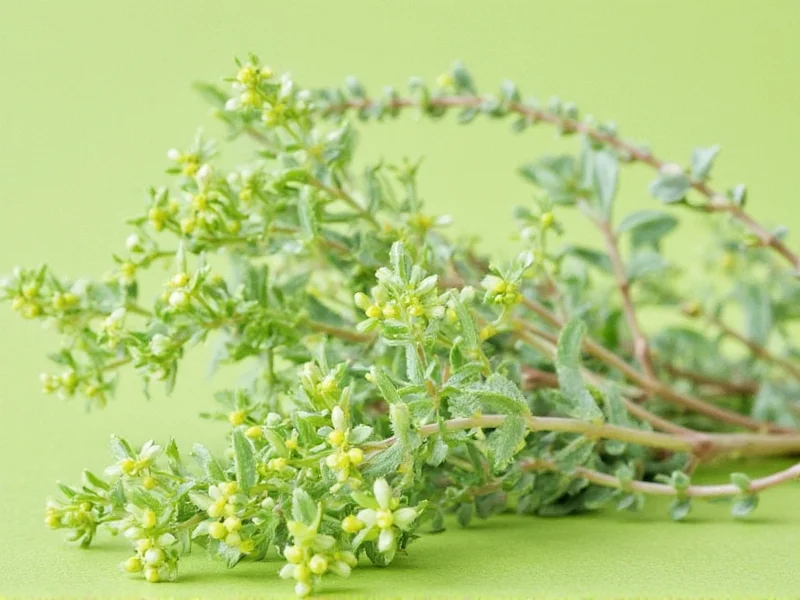 How Is Thyme Pronounced? Clear Guide to Herb Pronunciation