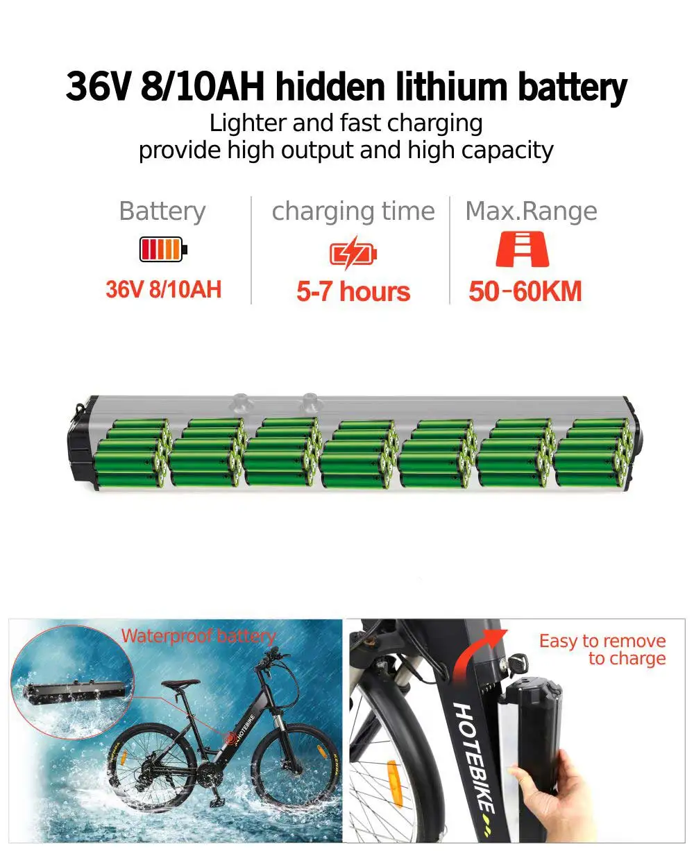 electric bicycle ebike