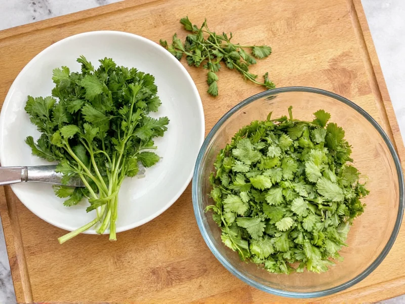 How to Dry Cilantro: 4 Effective Preservation Methods