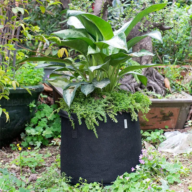 

2 Gallon Grow Bags Free Samples Containers Plant Pots with Handles Black
