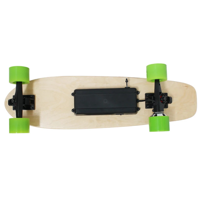 electric skateboard216.jpg