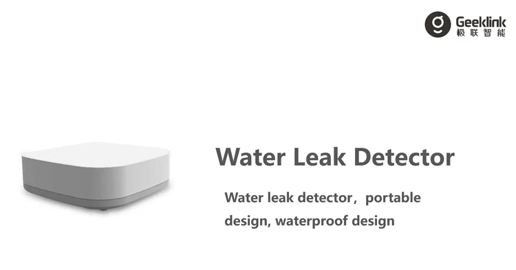 water detector underground basement water leak leakage detector