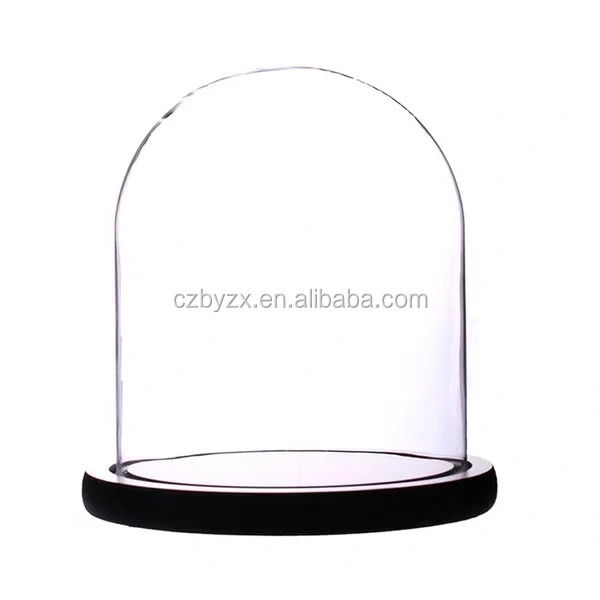 glass dome (29).jpg