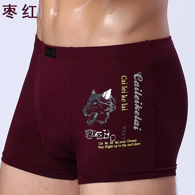 

Hot Men High Quality Panties Fashion Men's Boxers Shorts Trunks Brand Cotton Underwear Male Casual Print Underpants