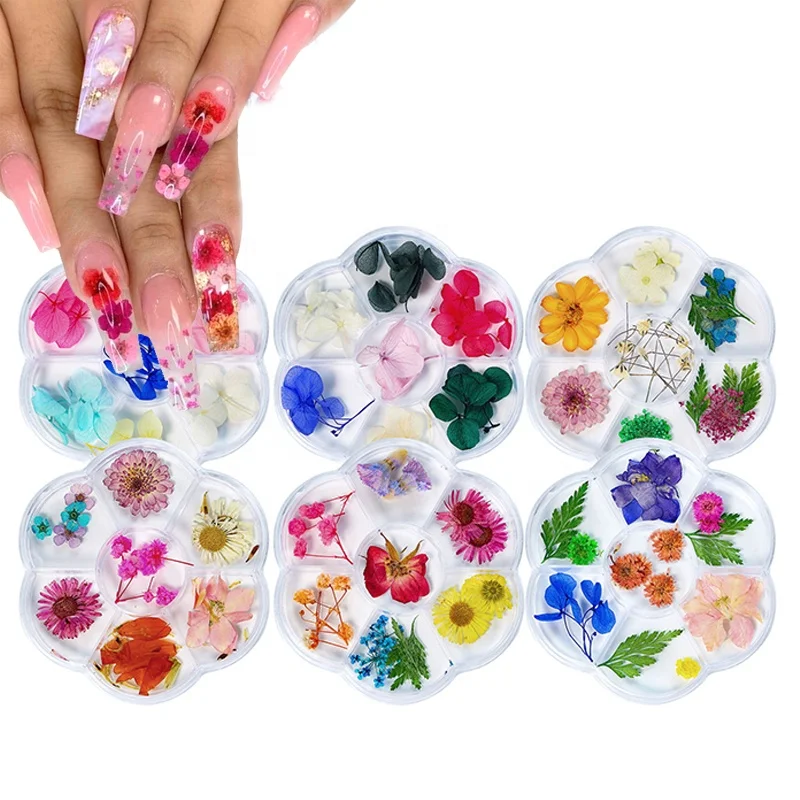 

Dried Flowers Nail Decorations Natural Floral Sunflower Daisy Stickers 3D Nail Art Designs Dried Flowers for Nails