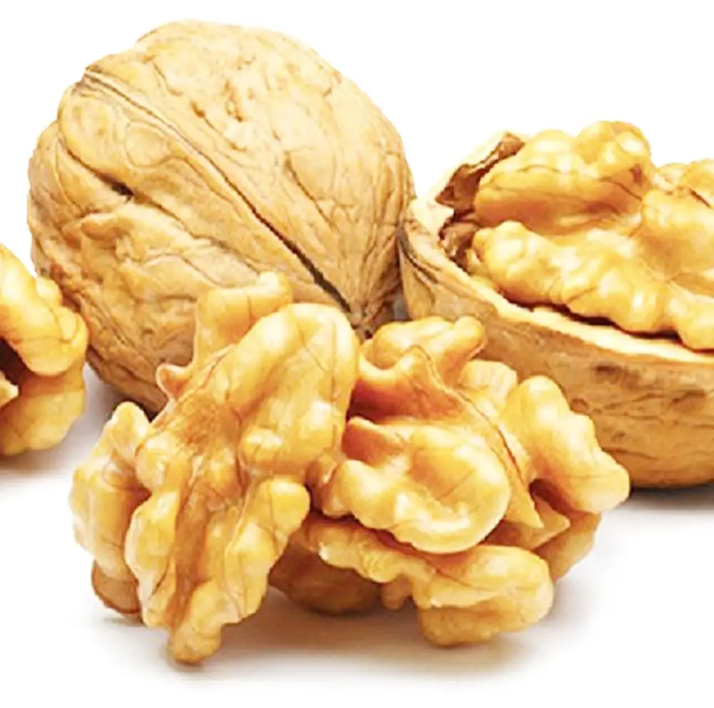 
Shelled walnuts wulnut price walnut 