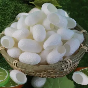 wholesales private logo natural silkworm cocoon eco-friendly