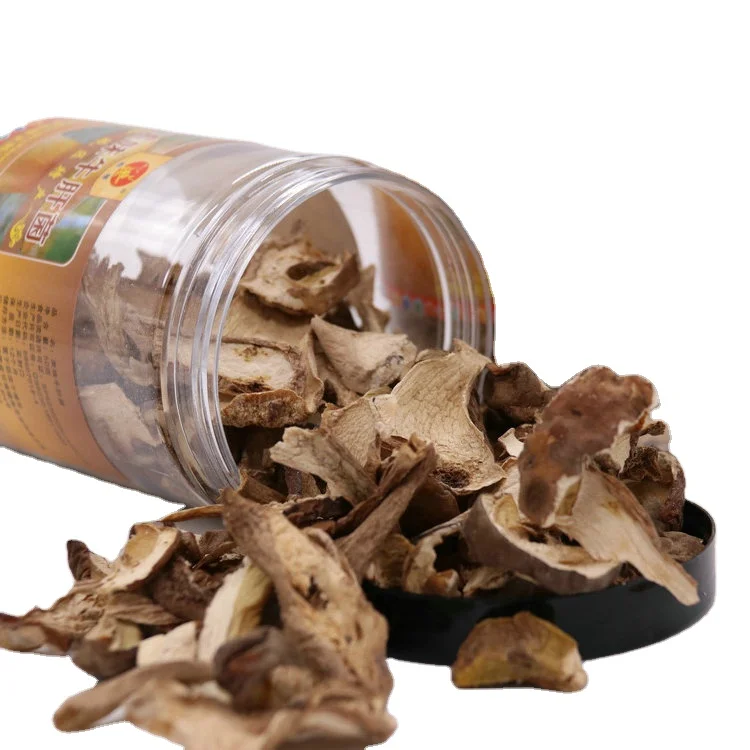 
dried mushrooms magic boletus edulis 