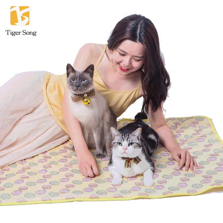 

High Quality Washable Summer Sleeping Ice Silk Fabric Pet Cooling Mat for Dogs and Cats, Customized color