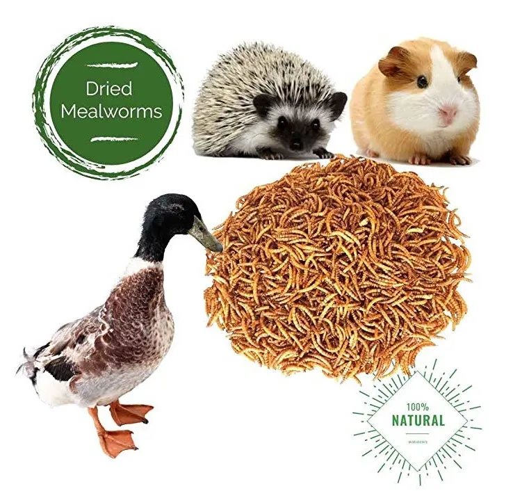 
Dried mealworms 