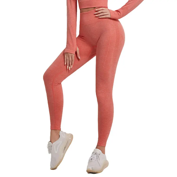 

Sportswear High Waisted Tight Mesh Workout Oem Designs Yoga Pant Leggings High Waist Mesh