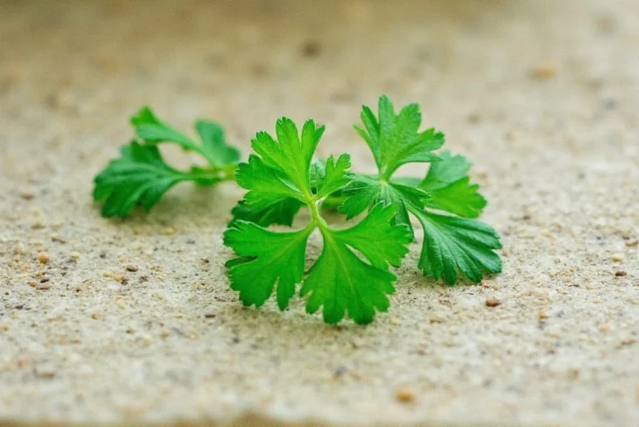 Ancient Greek statue with parsley garland