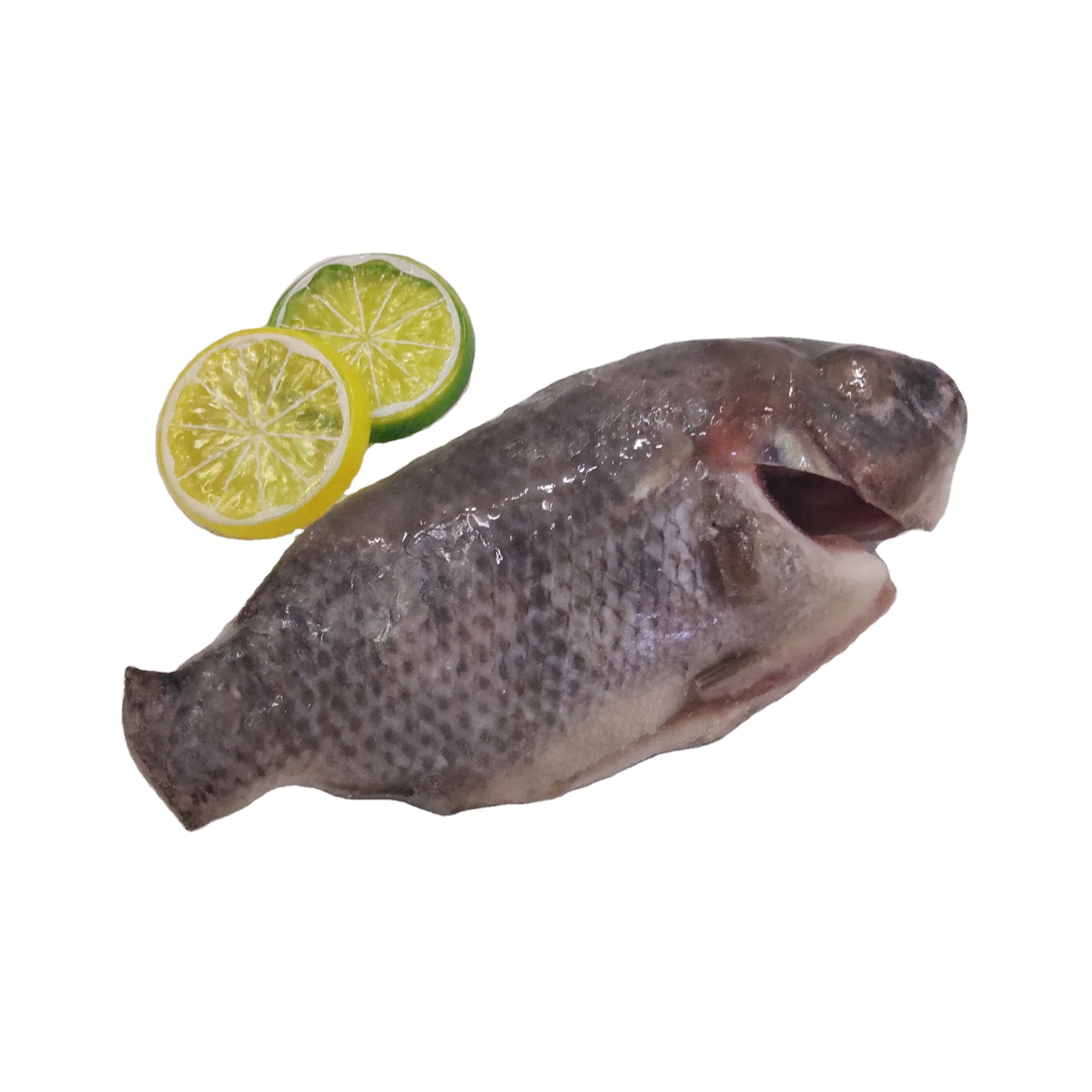 
Local Good Quality Frozen Cleaned Tilapia 
