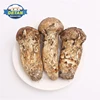 2019 Wild Detan High quality Frozen Matsutake/Tricholoma matsutake mushroom for edible food organic wild