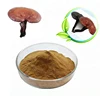 Organic Dried Ganoderma Lucidum