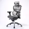 Sihoo Funky Ergonomic Computer Chair Custom Design Waist Pillow Office Manager Mesh Boss Chair With Footrest