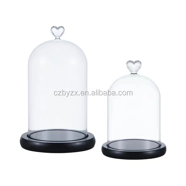 glass dome (28).jpg