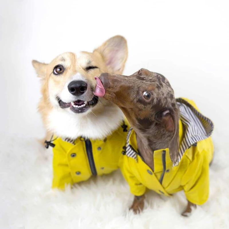 

Dog Raincoat with Reflective Buttons Pockets Rain/Water Resistant Adjustable Drawstring Removable Hood jeans, Yellow