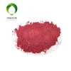 100% pure natural prune extract with best price