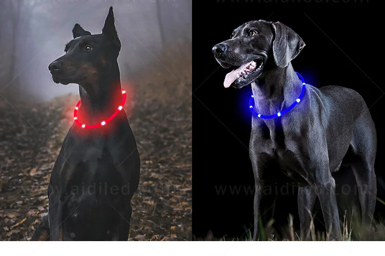 Hot Selling Blazin Safety Led Dog Collar Night Dog Collar Used for Dog  Safety Protection Waterproof Silicone Charming Collar