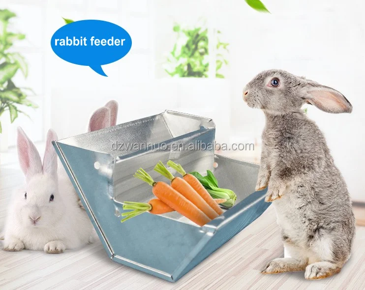 Stainless Steel Galvanized Sheet Metal Rabbit Feeder Buy Rabbi Feeder,Metal Rabbit Feeder