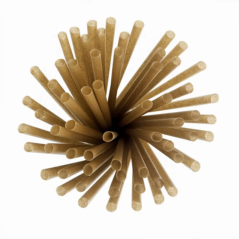 

6mm 8mm 12mm Sugarcane Straws Biodegradable Plastic Free Eco-Friendly Compostable Drinking Smoothie Sugarcane Bagasse Straw