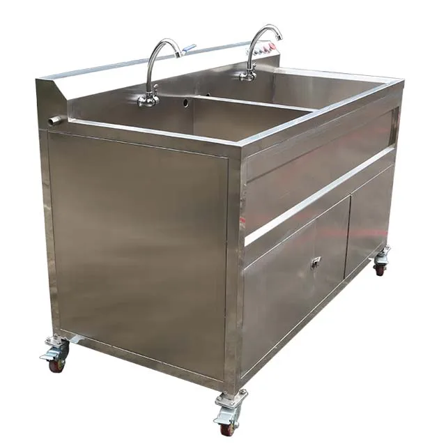 Hotel kitchen two tanks vegetable and fruit washing machine ozone fruit and vegetable washer