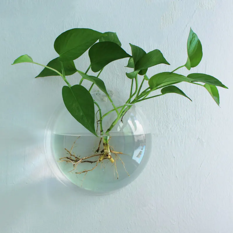 

Factory Direct Sales Clear Acrylic Wall Photo Frame Indoor Flower Pot Stand Plant