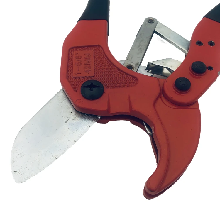 2019-12-27 162046.jpg