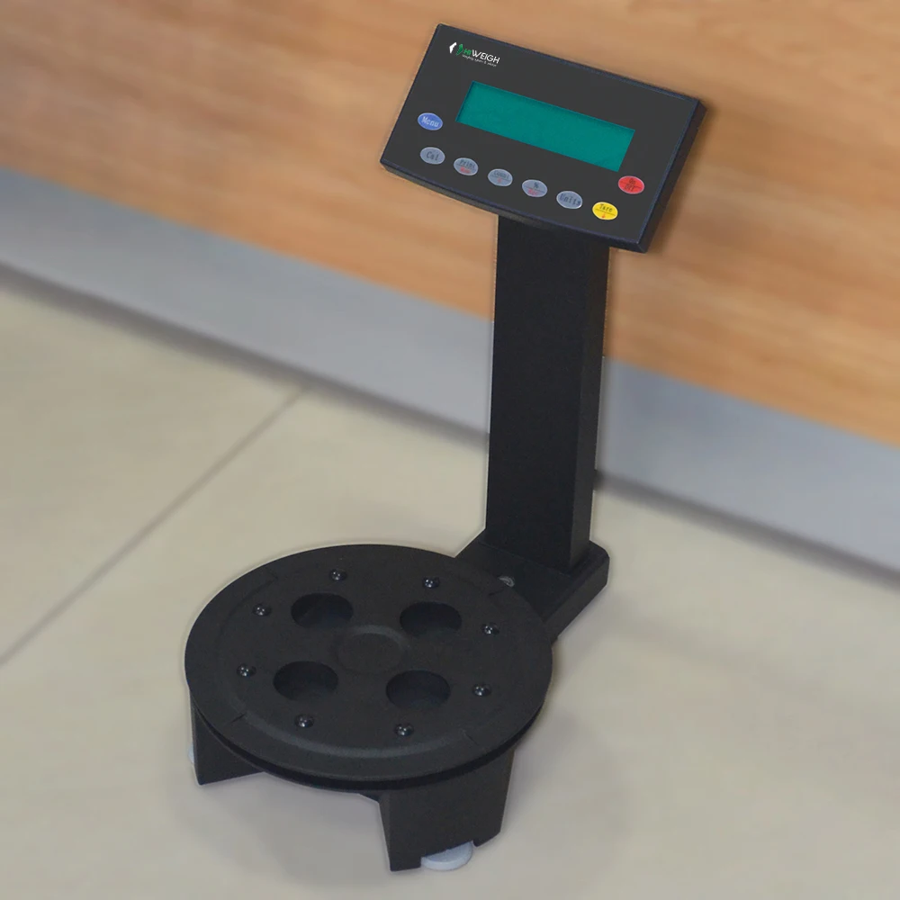 Pms Precise Digital Automotive Paint Mixing Scale For Sale Buy 0.1g