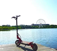 

2020 New Pro Kaabo factory original cheap price two wheel electric scooter electrical mantis scooter 1500w 2000w