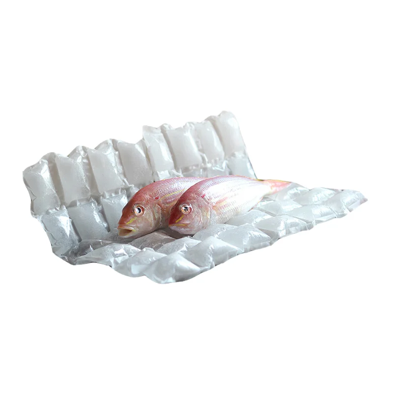 

Big water Capacity hydrated gel ice pack for seafood vegetables chill food shipping Techni Ice Heavy Duty Reusable Dry Ice packs, As per clients request