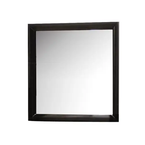 

Free Shipping Drop Shipping ACME Ireland Mirror in Black for living room furniture ACME Wall Mirrors