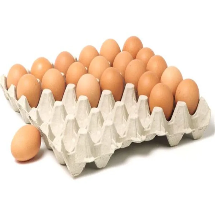 

Portable Biodegradable Disposable Bamboo Pulp Sugarcane Bagasse Egg Tray, Natural brown