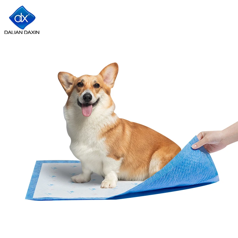 

Puppy Training Products Disposable Pet Potty Pad Absorbent Dog Training Potty Pee Pads, Blue