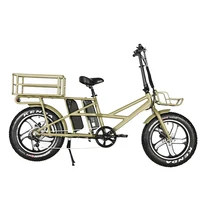 

Long Range 120Km Electric Cargo Bike With 20"x4.0 Fat Tire Bicycle Electric With Double 48V 13Ah Lithium Battery