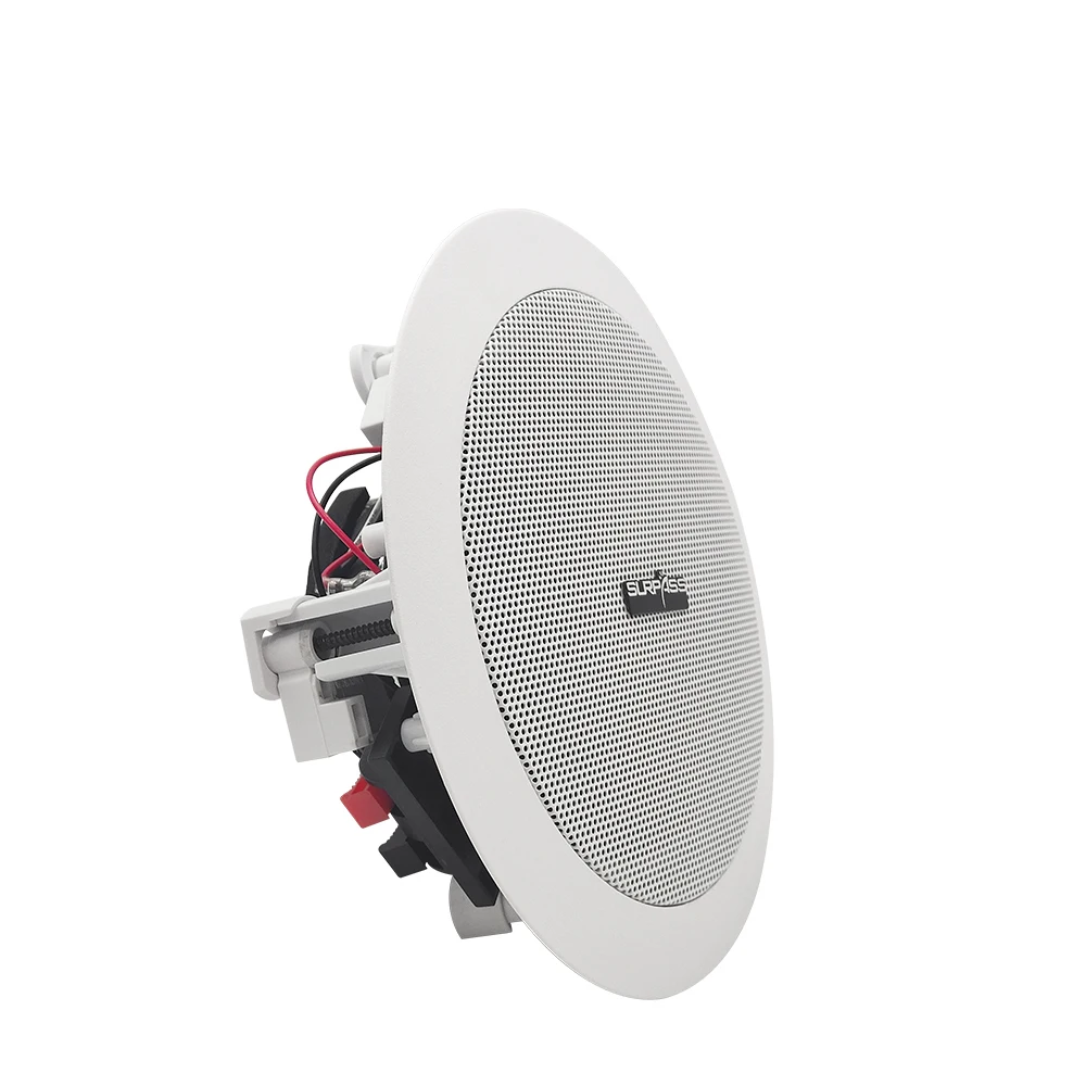 

Whole Sales With Wall Mounted Control Panel HiFi 5inch Woofer +1 inch Tweeter Coaxial In Ceiling Speaker