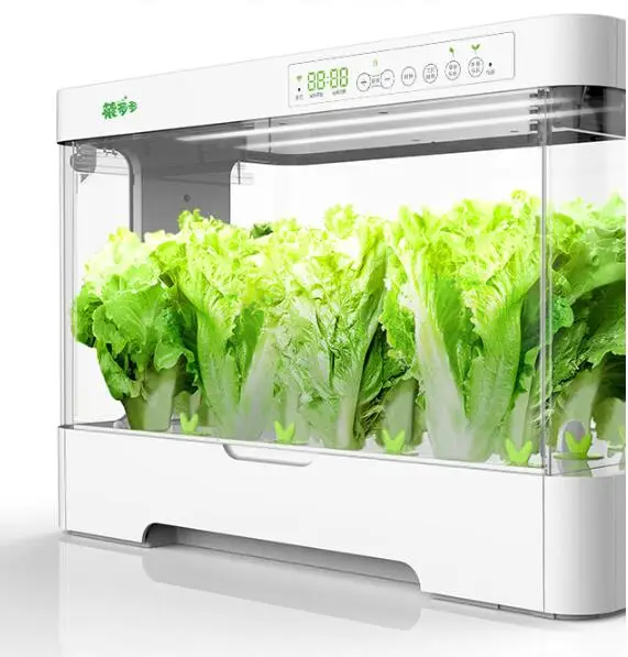 

Mini smart garden for plants indoor Smart garden hydroponic flower planter