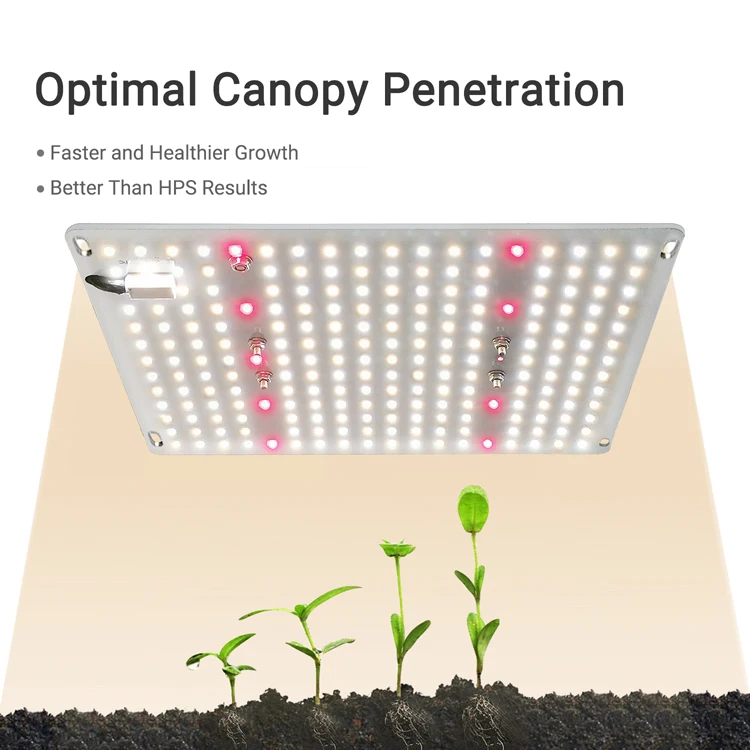 Best seller Koray 3000K 3500k 4000k 5000k lm301b quantum growlights kit 288/128 led grow light for indoor plant
